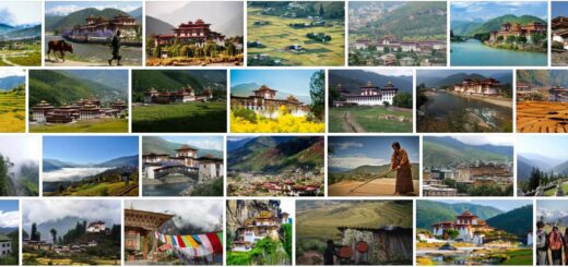 Bhutan Industry