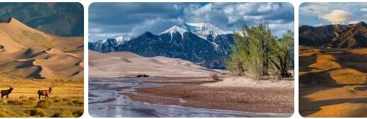 The Great Sand Dunes National Park